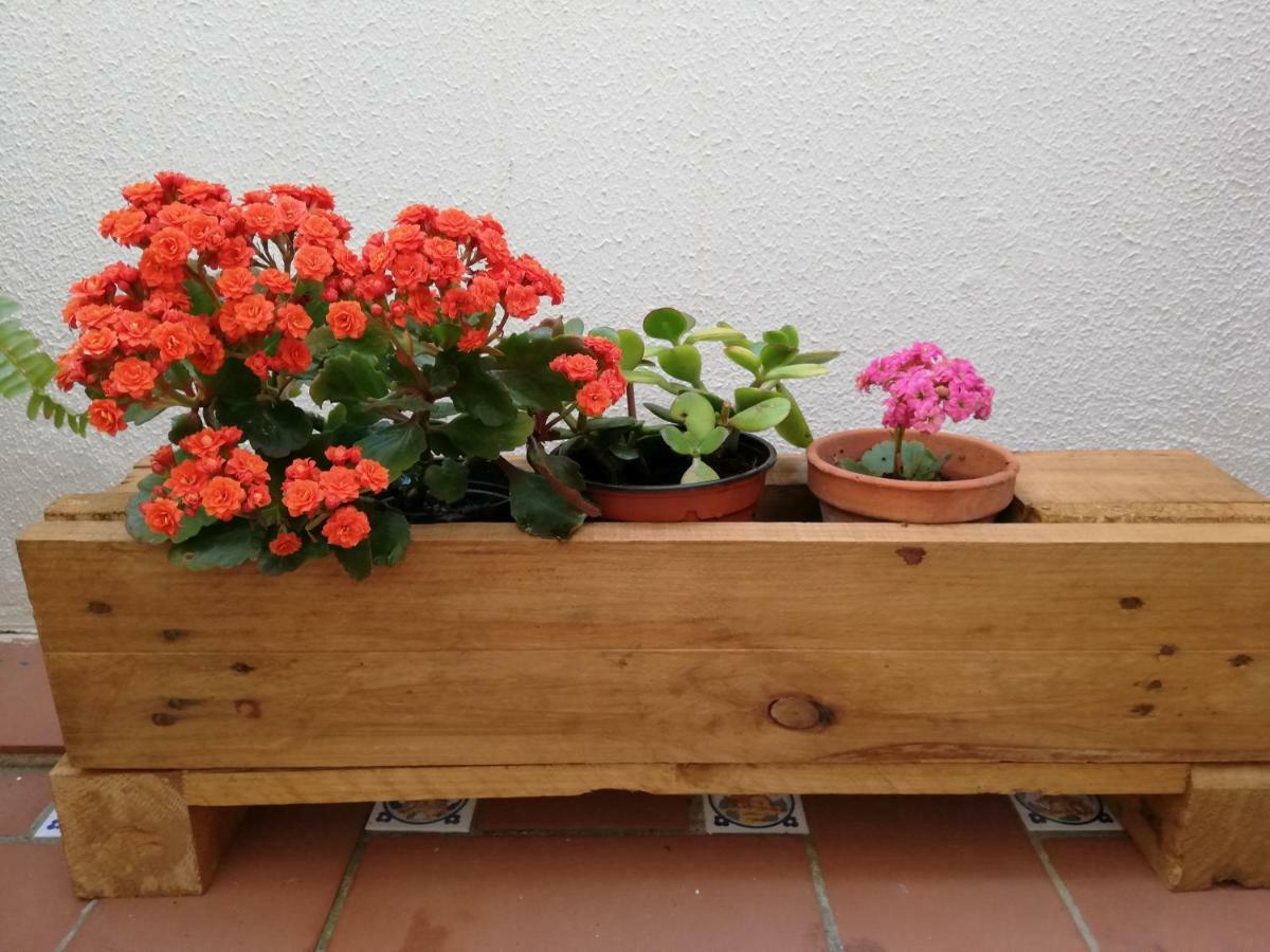 Apartamentos Coralba - Duplex Bahia De Cadiz San Fernando Dış mekan fotoğraf